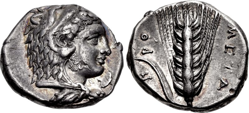 LUCANIA, Metapontion. Circa 340-330 BC. AR Nomos (20.5mm, 7.69 g, 11h). Head of Herakles right,