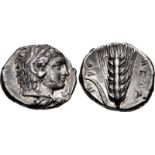 LUCANIA, Metapontion. Circa 340-330 BC. AR Nomos (20.5mm, 7.69 g, 11h). Head of Herakles right,