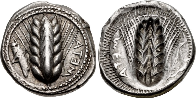 LUCANIA, Metapontion. Circa 470-440 BC. AR Nomos (21mm, 8.22 g, 12h). Ear of barley with six grains;