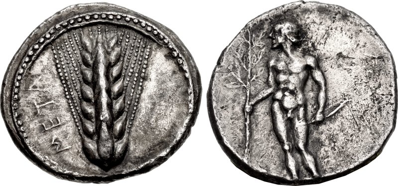 LUCANIA, Metapontion. Circa 440-430 BC. AR Nomos (24mm, 7.76 g, 7h). Ear of barley with seven