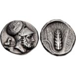 LUCANIA, Metapontion. Circa 340-330 BC. AR Double Nomos (27mm, 15.63 g, 4h). Head of Leukippos