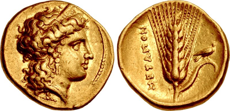 LUCANIA, Metapontion. temp. Alexander the Molossian. Circa 334-322 BC. AV Tetrobol – Third Stater (