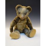 Early 20th Century German mohair teddy bear having boot button eyes, pronounced hump, elongated