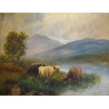A.Walley - Early 20th Century oil on board - Highland landscape with cattle, signed, 48cm x 70.