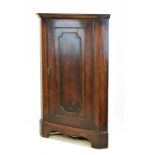 Late 18th/early 19th Century mahogany floor standing corner cupboard with panelled door enclosing
