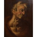 19th Century oil on canvas - Study of an elderly man, 47cm x 36cm Condition: