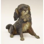 19th Century Austrian cold painted bronze figure of a seated spaniel, 10.5cm high Condition: General