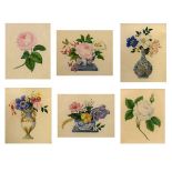 19th Century English School - A group of six small watercolours - Still life and botanic studies,