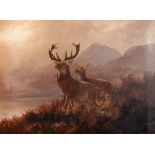 F.Walters - Late 19th/early 20th Century oil on canvas - Stag and doe in a Highland landscape,