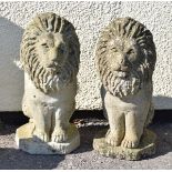 Garden Ornaments - Pair of reconstituted figures of seated lions, 52cm high Condition: