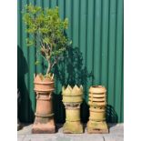 Three assorted stoneware chimney pots comprising: two of crown design (one planted) and a third