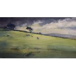 Paul Millichip (modern) - Watercolour - Sheep grazing in pasture, signed lower left, 27.5cm x