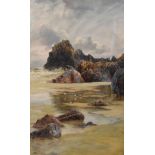 W. Casley (early 20th Century) - Watercolour - Rocky coastal foreshore with gulls, signed lower