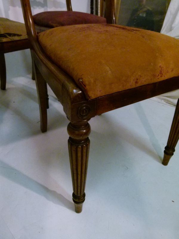 Set of six Regency/George IV rosewood dining chairs, each having panelled figured top rail over - Bild 10 aus 14