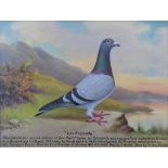 Andrew Beer (1862-1954), - Oil on canvas - Prize Racing Pigeon, Blue Hen 'Leading Lady', Bred by