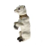 Late 18th /early 19th Century porcelain figural scent bottle, formed as a begging hound, unmarked,