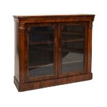 Mid 19th Century rosewood side cabinet with rectangular top over two arch-glazed doors on plinth