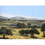 Vera Baker (Mid 20th Century) - Oil on board - An African Landscape, signed and dated '60 lower
