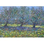 Paul Stephens - Oil on board - 'Apple Tree Blossom', signed with initials lower left, 27cm x 37cm,