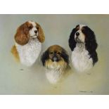 H.C. Babington - Charcoal and gouache - Portrait of three dogs, Lottie, Cleo and Rupert, signed