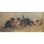 Early 20th Century oil on canvas - Five kittens wearing ribbons, monogrammed M.N, within a carved