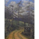 English School (circa 1900) - Oil on panel - A woodland track, apparently unsigned, stamp verso of