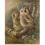 Raymond Watson (modern) - Signed coloured print - Tawny Owl, signed and dated '87 lower right,