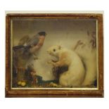 Taxidermy - Late 19th/early 20th Century cased preserved red squirrel and bullfinch in