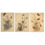 Group of assorted botanical and Natural History prints of flowers and butterflies