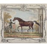 Equestrian interest - coloured print, "The Portraiture of White Nose", originally published March,