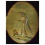 Early 19th Century oval embroidered silk panel, depicting an exotic bird on a branch, within verre