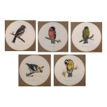 Maggie Oliver (1912-1990) - Five circular gouache studies of birds - Goldfinch, Hawfinch, Chaffinch,