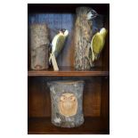 Two carved and painted wooden sculptures of Green Woodpeckers by Beddgelert Woodcraft, together with