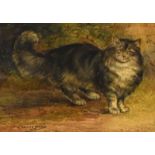 Edward W. Ball - Watercolour - Study of a cat, signed and dated 1926, 16.5cm x 23.5cm, framed and