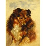 Early 20th Century oil on canvas - Portrait of a melancholy dog, monogrammed and dated 3.4.01, 36.