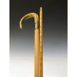 Late 19th/early 20th Century horn-handled Malacca walking stick or cane, 88cm long, together with