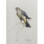 Roger C. Upton (20th Century) - Watercolour - Jack Merlin (Haggard), titled and initialled, verso