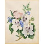 English School (19th Century) - Watercolour - Botanic study of flowers, monogrammed J.C., 21cm x