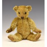 Early 20th Century golden mohair plush jointed teddy bear, having glass eyes and long muzzle,