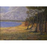 20th Century School - Oil on canvas - Coastal scene with pine trees, indistinctly signed and