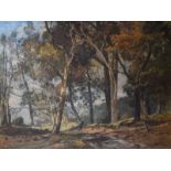 Oliver Hall - Oil on canvas - Woodland path, 54cm x 76cm, signed, in a gilt frame