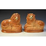 Pair of late Victorian Staffordshire or Alloa pottery figures of recumbent lions, 25cm high