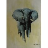 David Shepherd - Signed limited edition print - 'Sketch for a painting - African Bull Elephant',