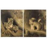 Pair of 19th Century monochrome prints - Fox cubs and Squirrels, 44cm x 34cm, framed and glazed