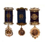 Three 9ct gold RAOB jewels (The Royal Antediluvian Order Of Buffalos)