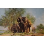 David Shepherd - Signed limited edition print - 'Elephants & Egrets', No.557/1300, 42.5cm x 76cm,