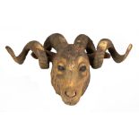 Carved & Painted Ram with Natural Big Horns. circa 1900. Some wear and loss. Ht. 14" W 20" D 11".