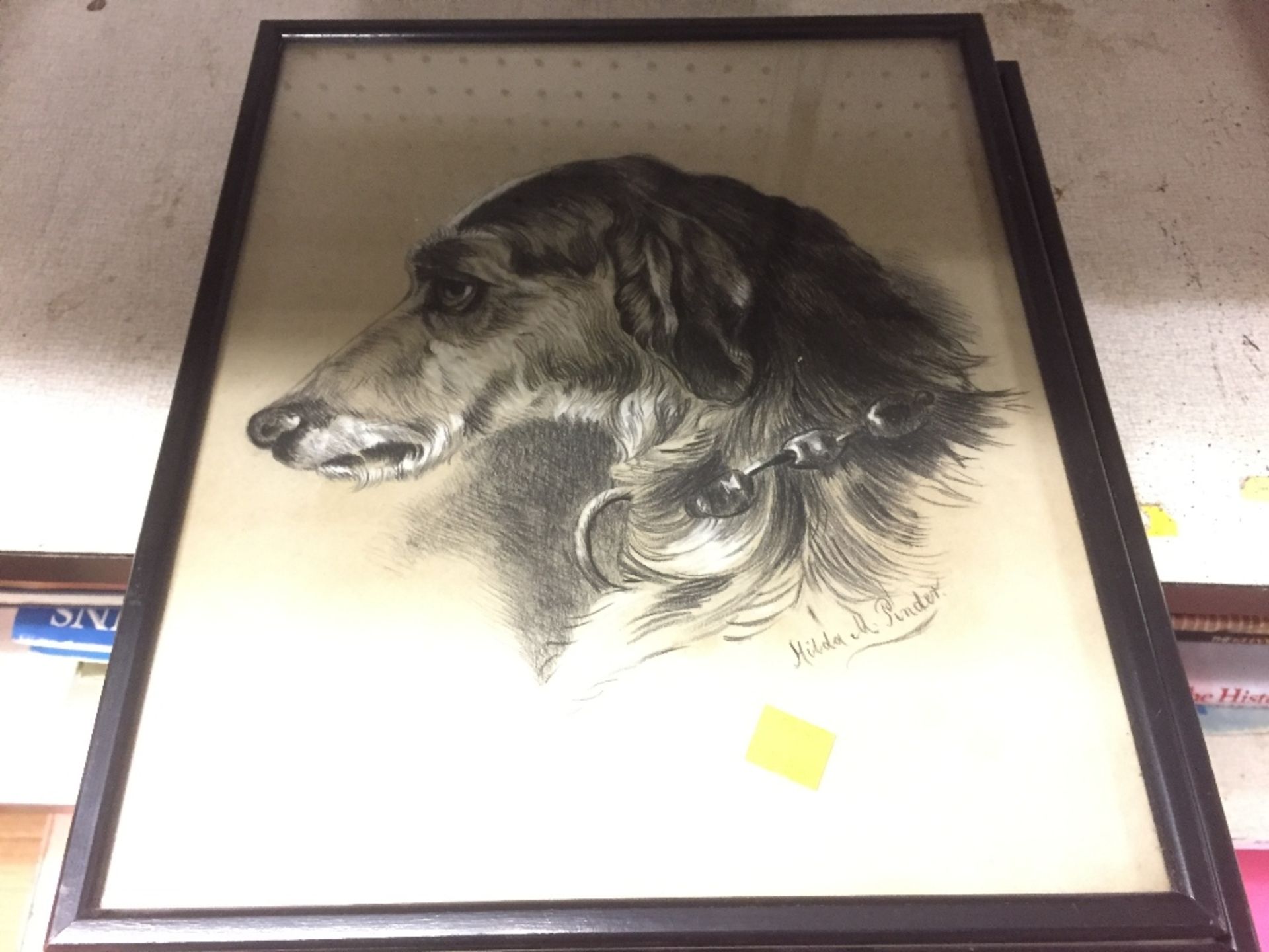 FIVE FRAMED CHARCOAL PENCIL AND CHALK PICTURES OF VARIUS ANIMAL BY H M PINDER - Image 2 of 3
