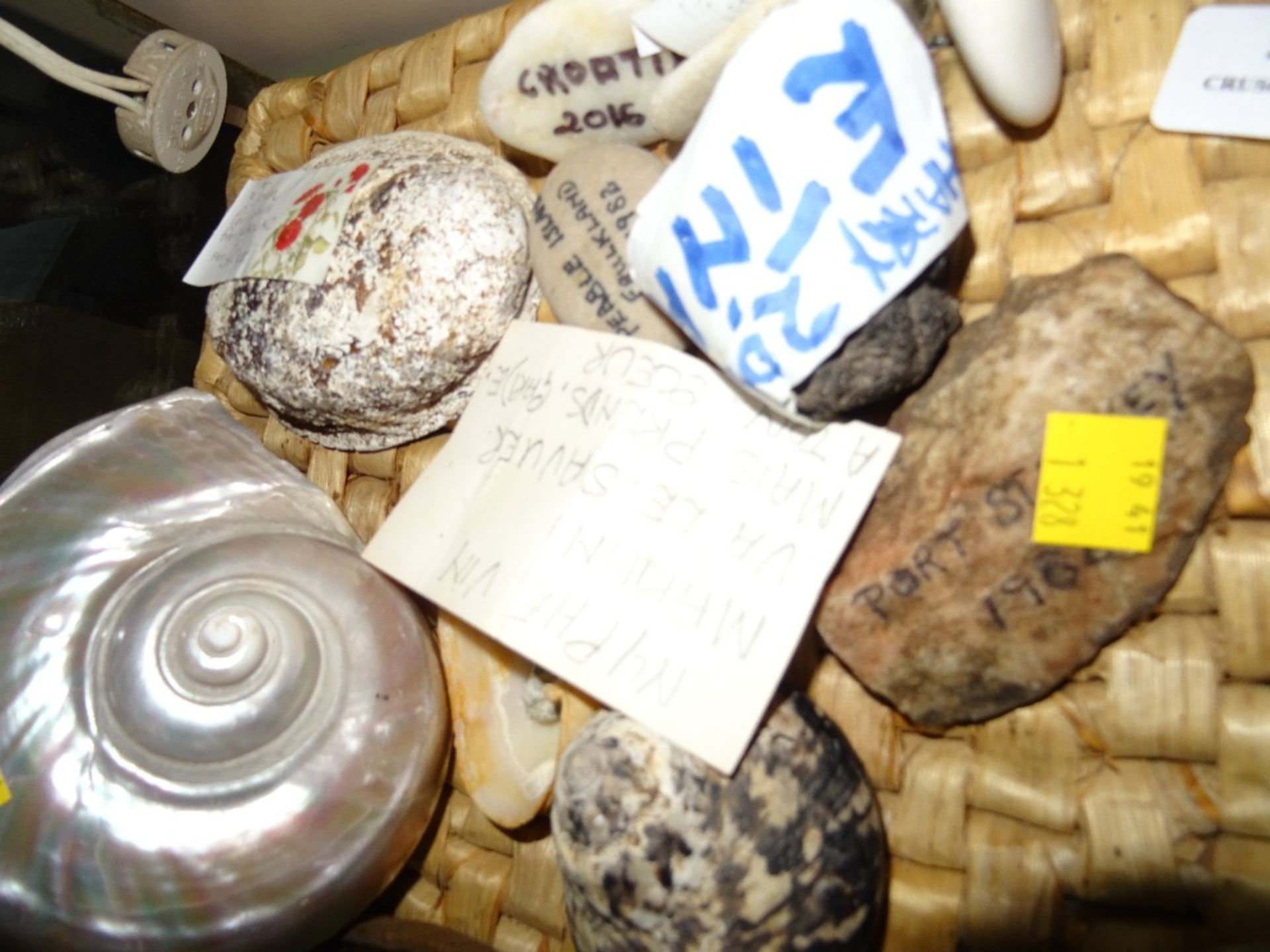 PLACEMAT AND QUANTITY OF VARIOUS SHELLS AND PEBBLES