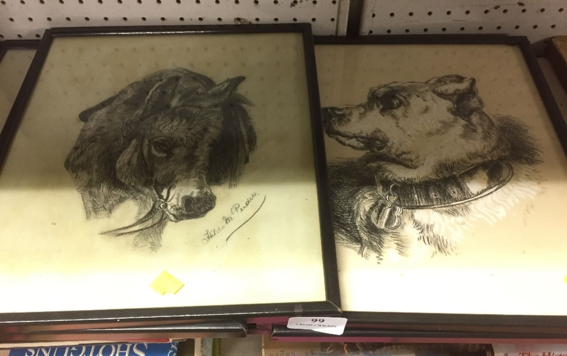 FIVE FRAMED CHARCOAL PENCIL AND CHALK PICTURES OF VARIUS ANIMAL BY H M PINDER